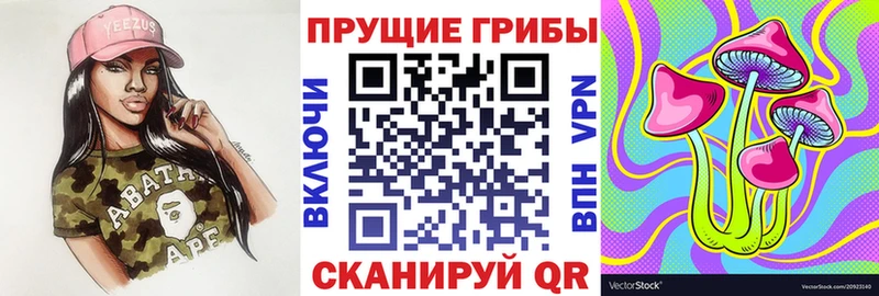 Псилоцибиновые грибы прущие грибы  сколько стоит  Абинск 